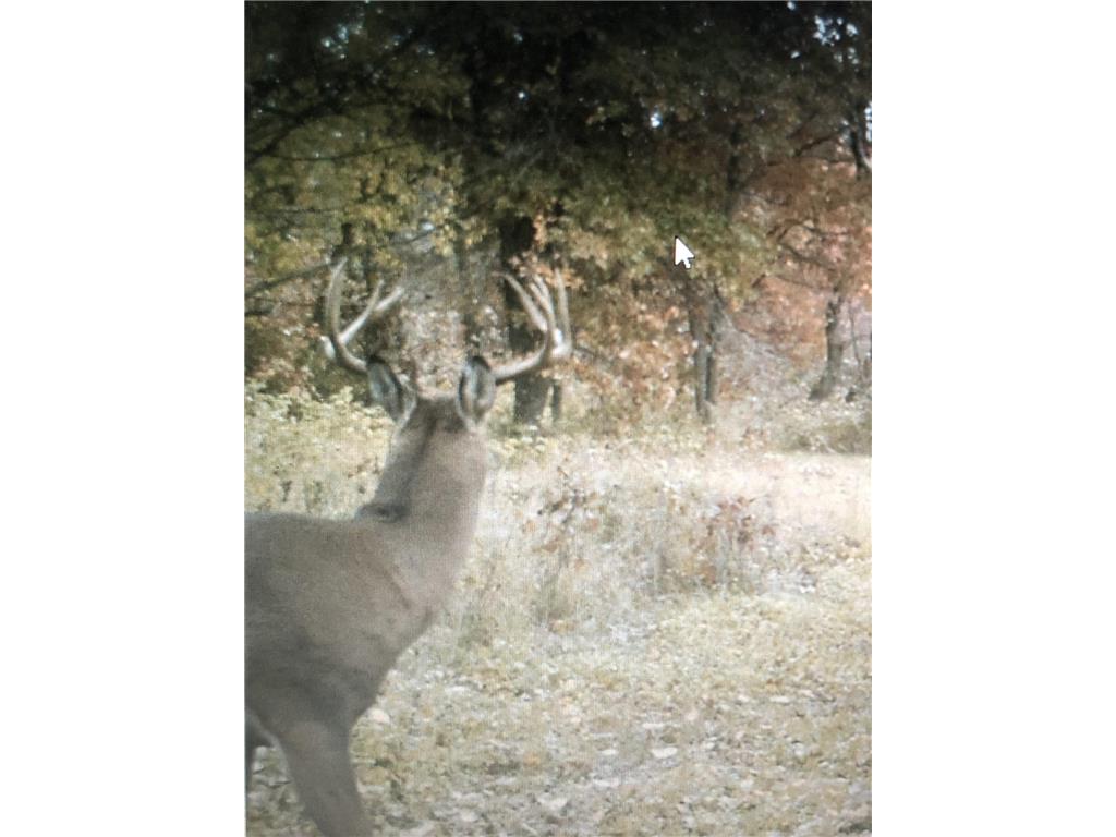 XXX McGrew Rd Isle MN 56342 7071683 image37