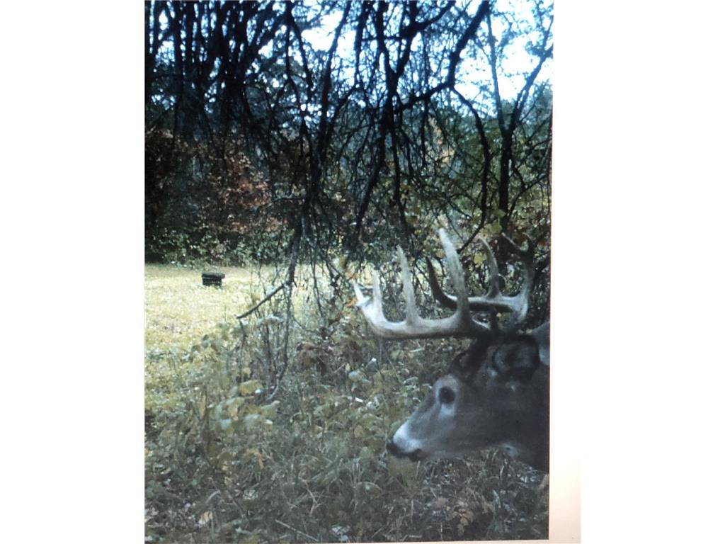 XXX McGrew Rd Isle MN 56342 7071683 image38
