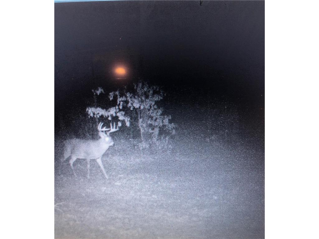 XXX McGrew Rd Isle MN 56342 7071683 image42
