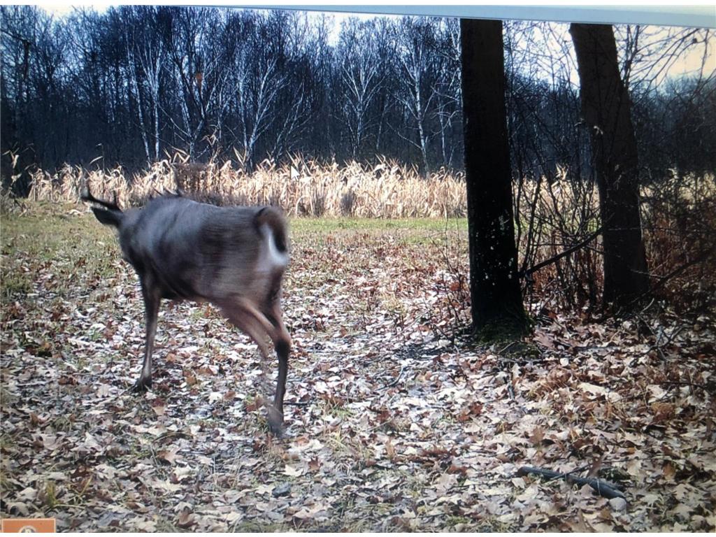 XXX McGrew Rd Isle MN 56342 7071683 image44