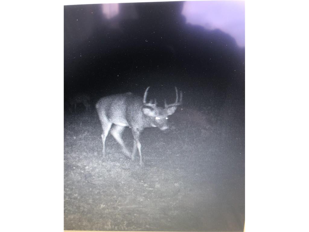 XXX McGrew Rd Isle MN 56342 7071683 image45