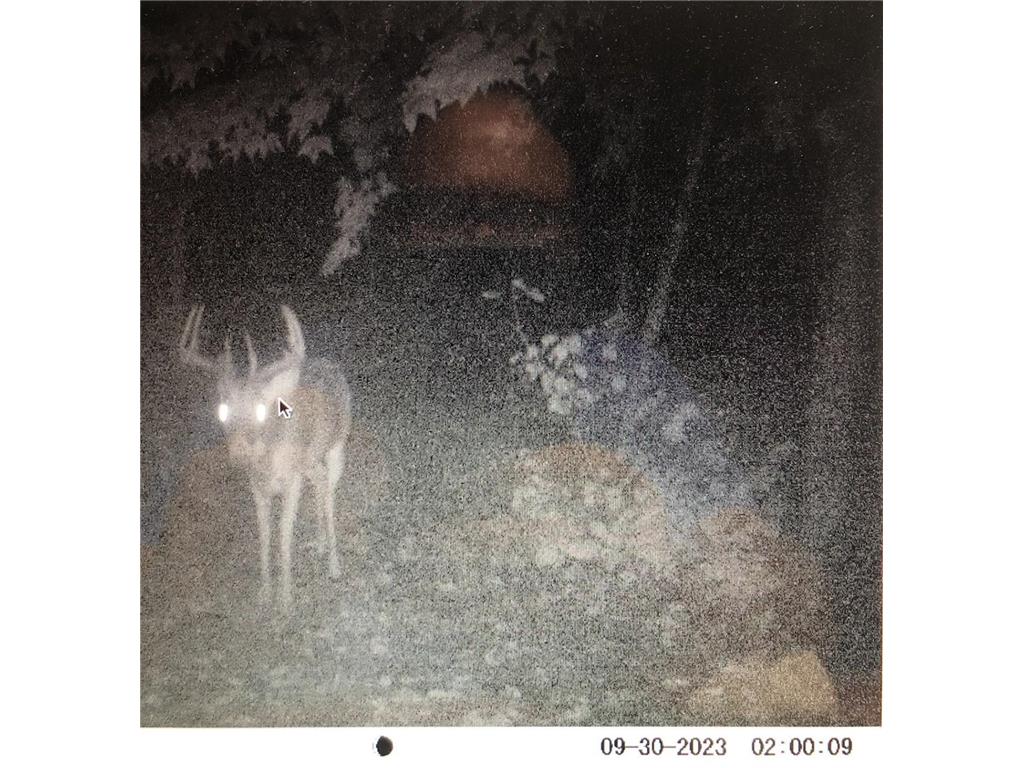 XXX McGrew Rd Isle MN 56342 7071683 image46