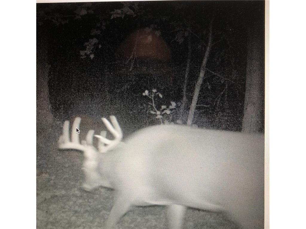 XXX McGrew Rd Isle MN 56342 7071683 image47