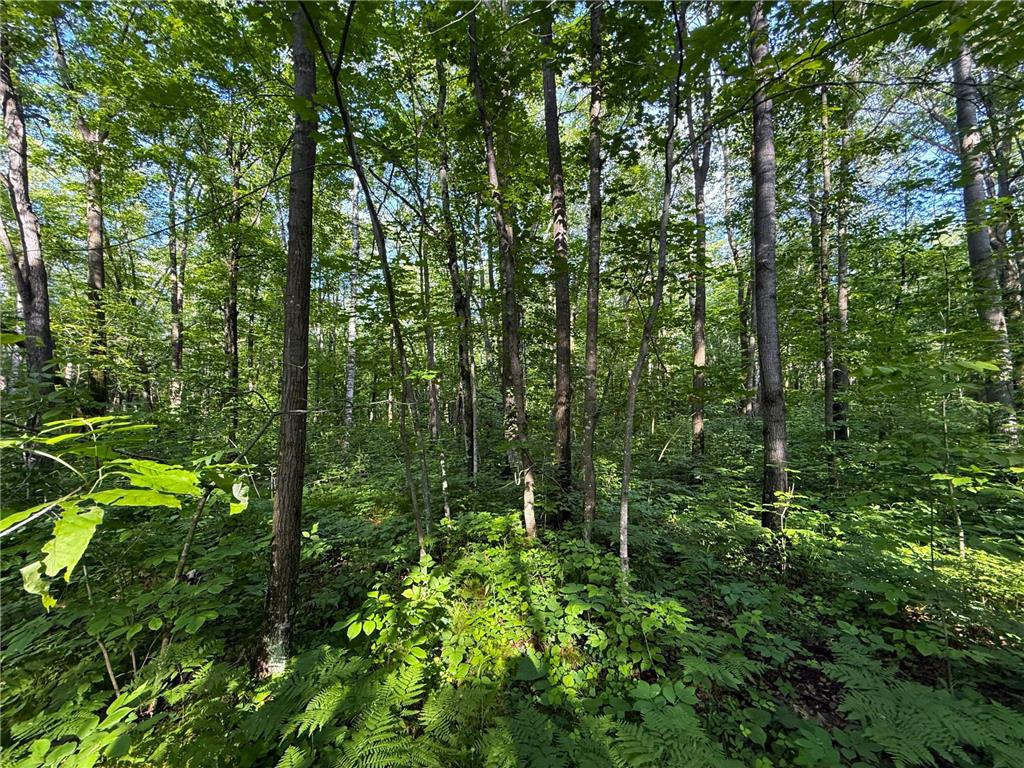XXX McGrew Rd Isle MN 56342 7071683 image49
