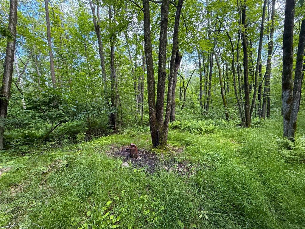 XXX McGrew Rd Isle MN 56342 7071683 image52