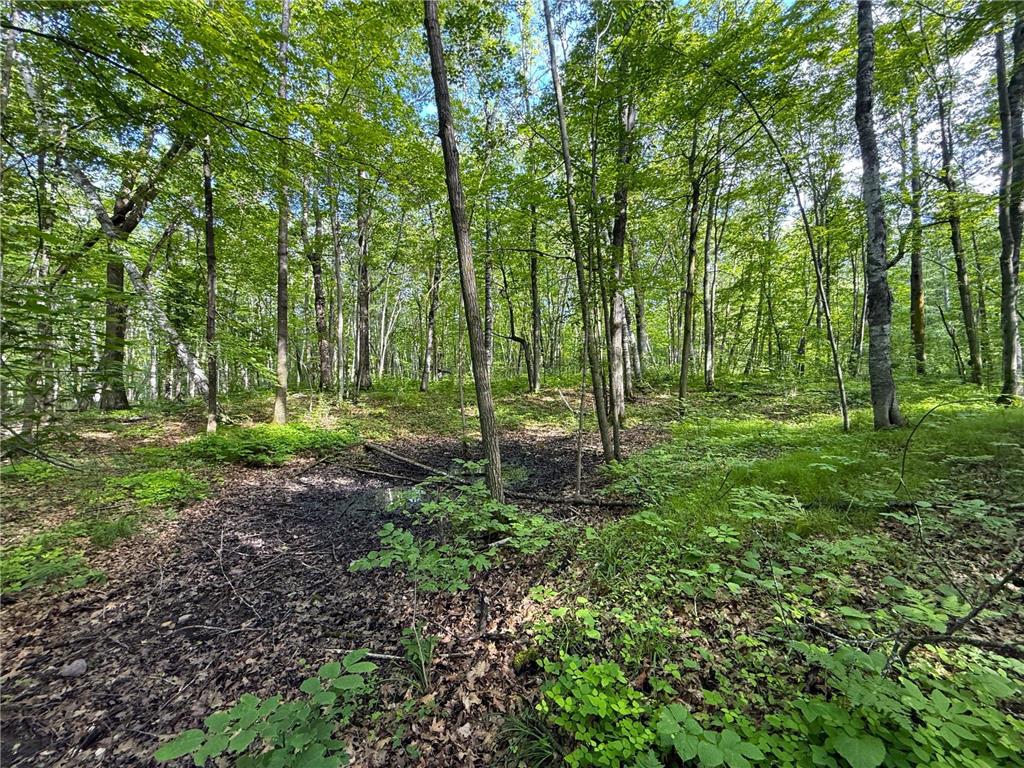 XXX McGrew Rd Isle MN 56342 7071683 image54
