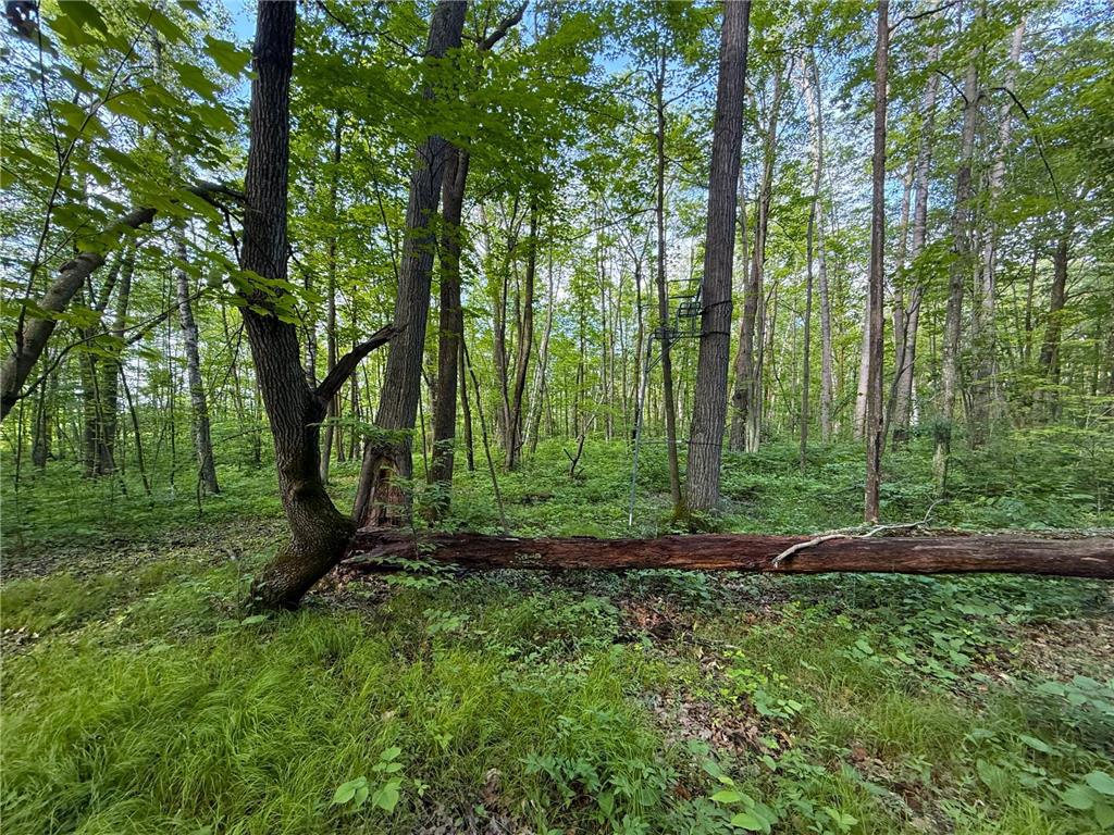 XXX McGrew Rd Isle MN 56342 7071683 image55