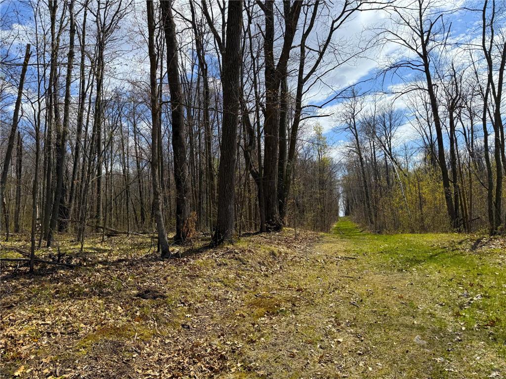 XXX McGrew Rd Isle MN 56342 7071683 image6