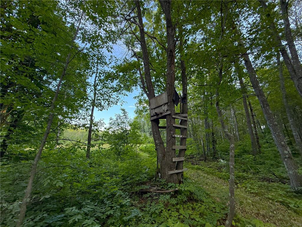 XXX McGrew Rd Isle MN 56342 7071683 image60