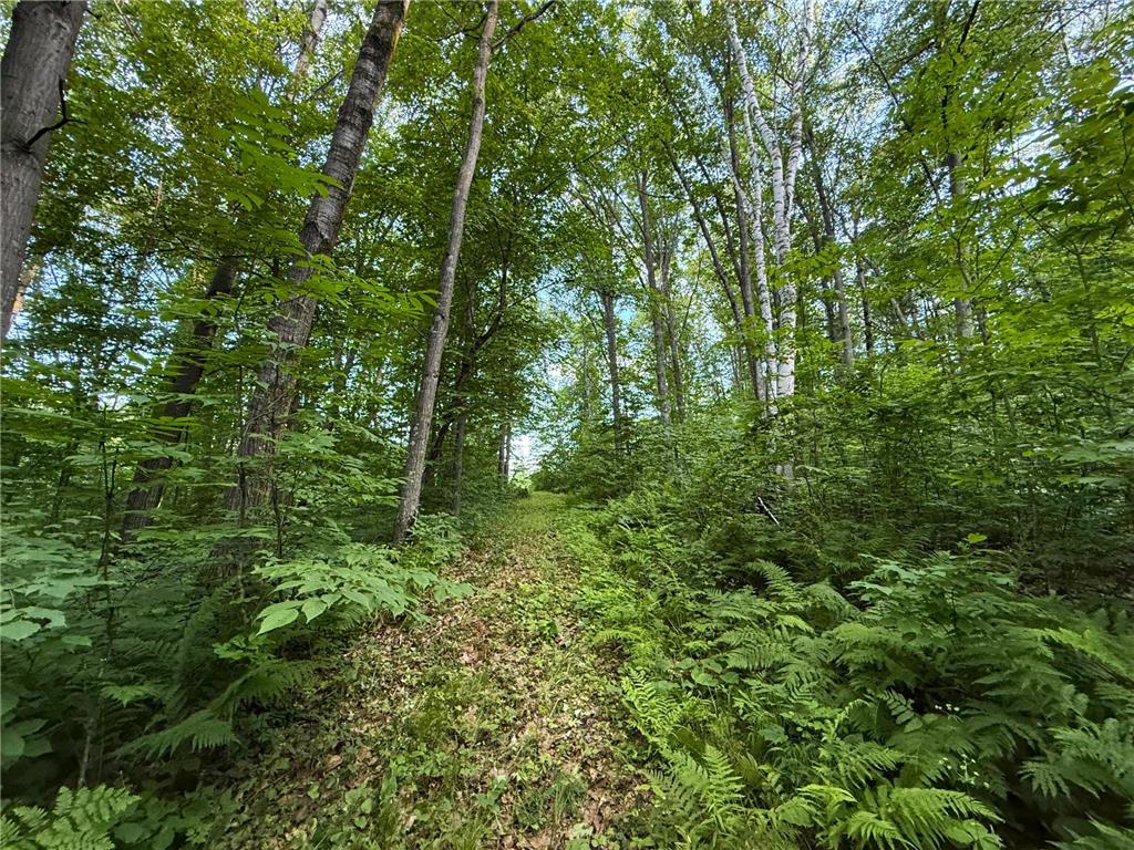 XXX McGrew Rd Isle MN 56342 7071683 image61