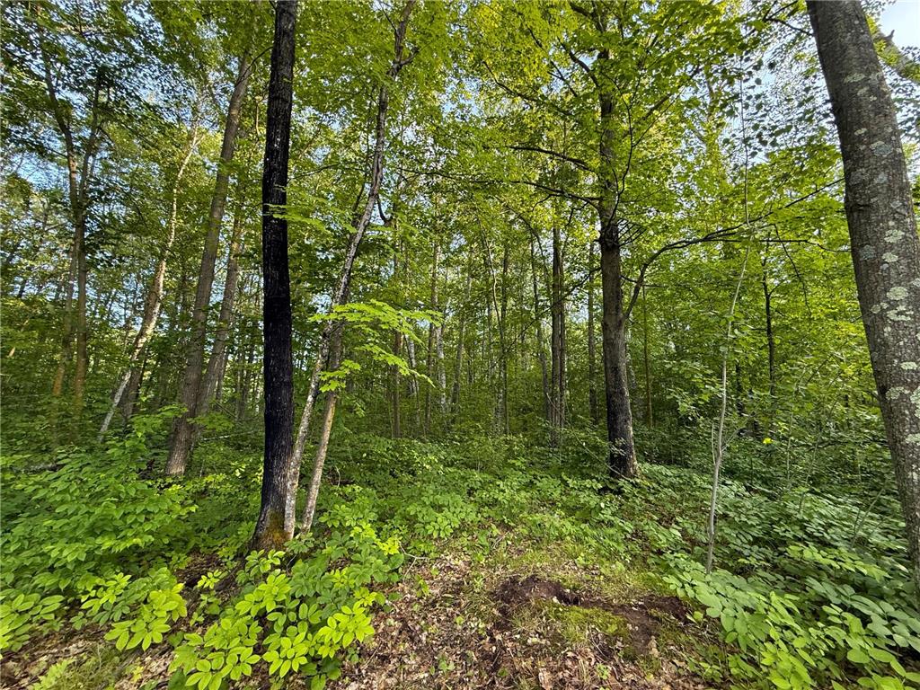 XXX McGrew Rd Isle MN 56342 7071683 image62