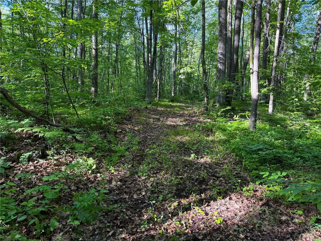 XXX McGrew Rd Isle MN 56342 7071683 image63