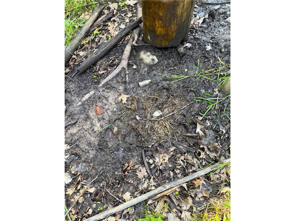 XXX McGrew Rd Isle MN 56342 7071683 image64