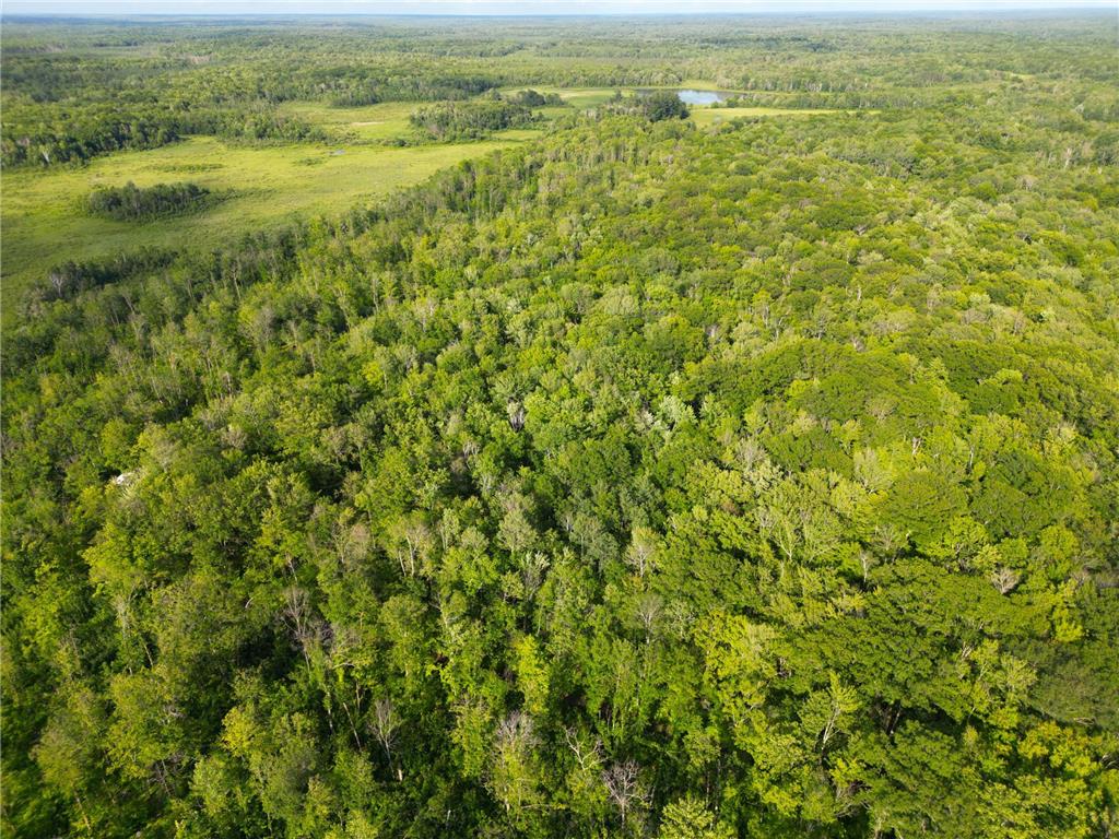 XXX McGrew Rd Isle MN 56342 7071683 image65