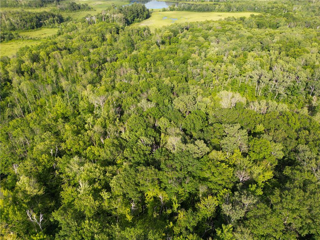 XXX McGrew Rd Isle MN 56342 7071683 image67