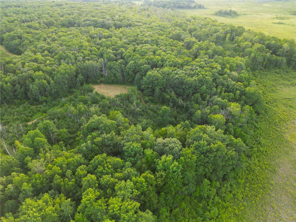 XXX McGrew Rd Isle MN 56342 7071683 image74