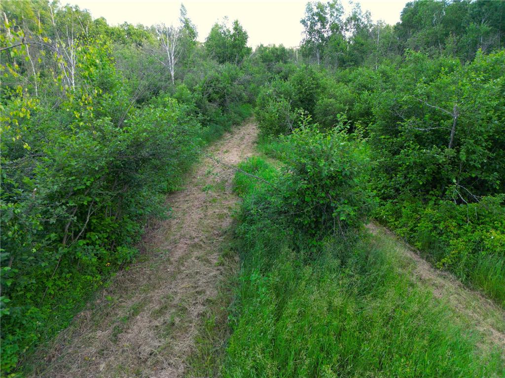 XXX McGrew Rd Isle MN 56342 7071683 image78