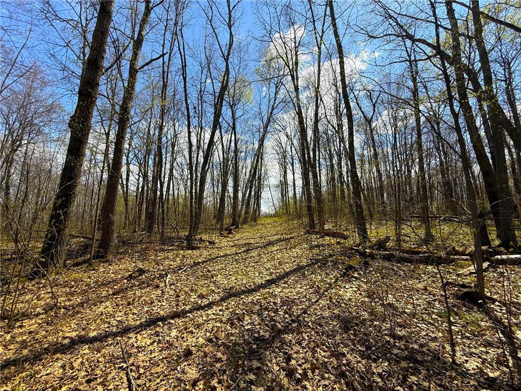 XXX McGrew Rd Isle MN 56342 7071683 image8