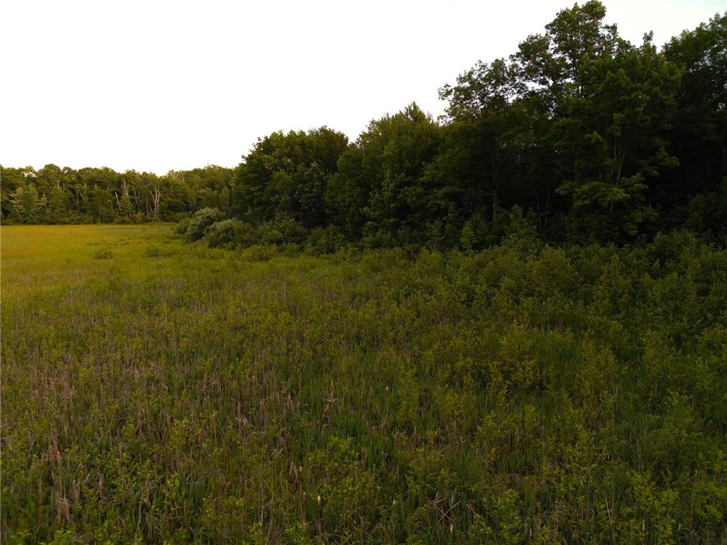 XXX McGrew Rd Isle MN 56342 7071683 image80