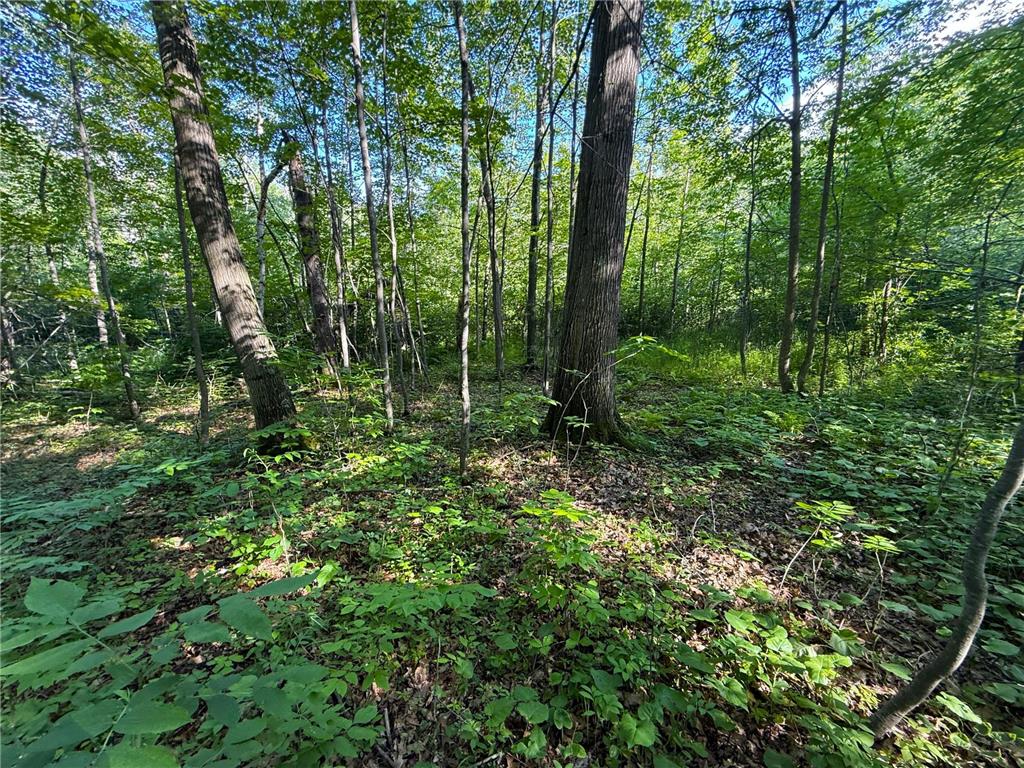 XXX McGrew Rd Isle MN 56342 7071683 image81