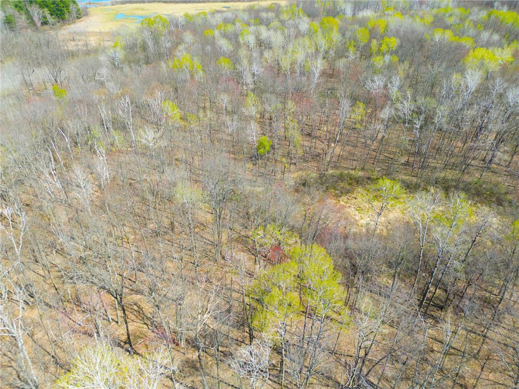 XXX McGrew Rd Isle MN 56342 7071683 image83