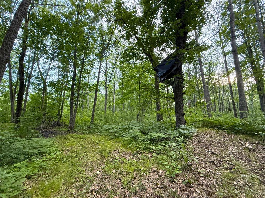 XXX McGrew Rd Isle MN 56342 7071683 image84
