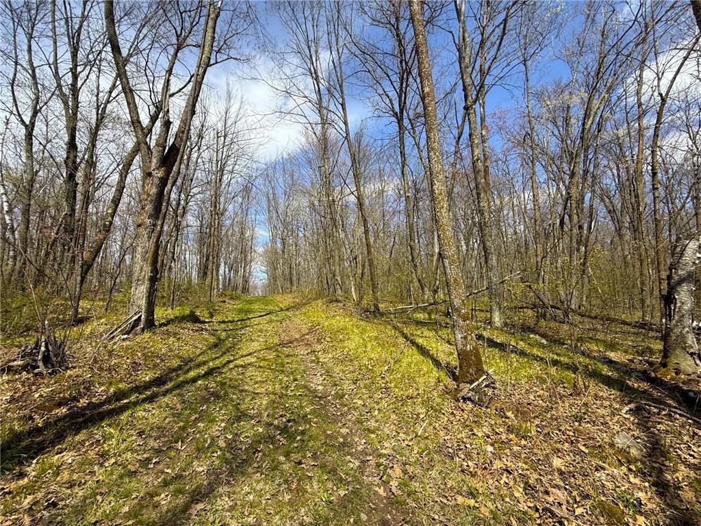 XXX McGrew Rd Isle MN 56342 7071683 image85