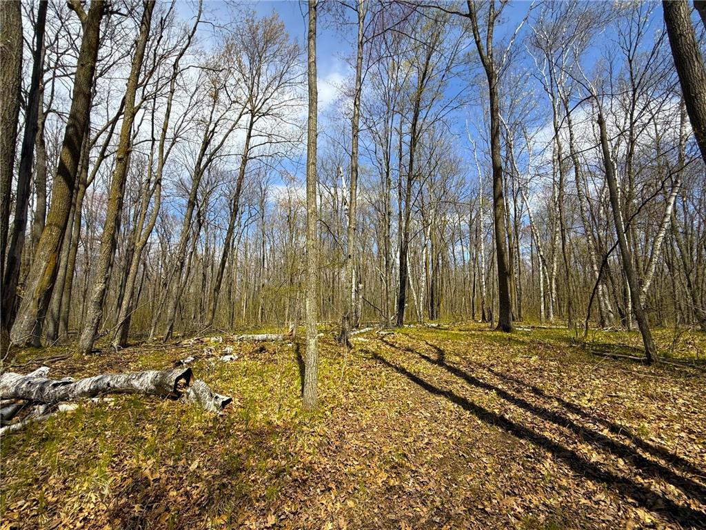 XXX McGrew Rd Isle MN 56342 7071683 image86