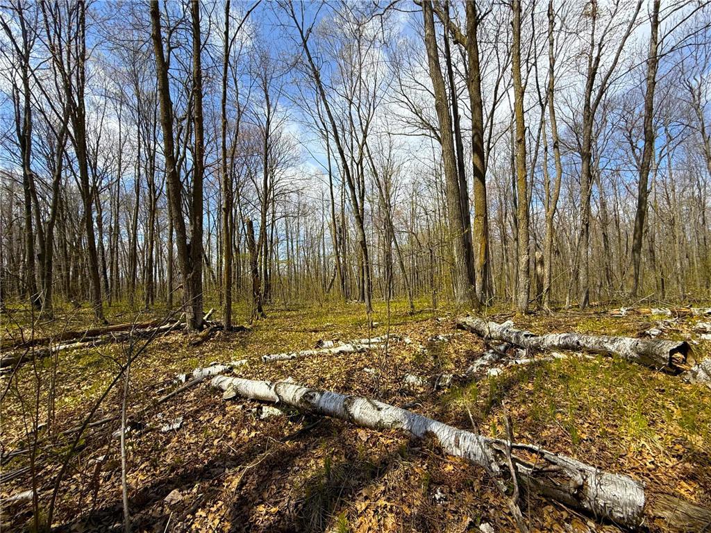 XXX McGrew Rd Isle MN 56342 7071683 image87