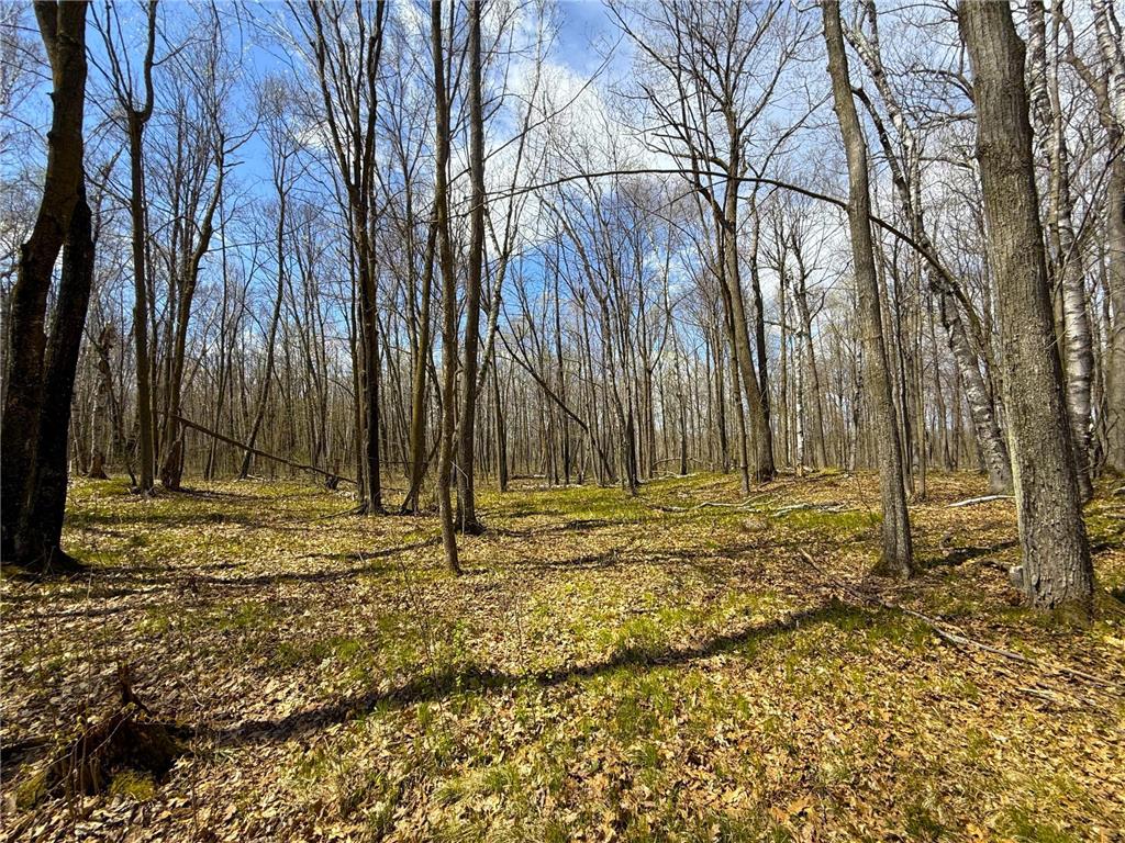XXX McGrew Rd Isle MN 56342 7071683 image88