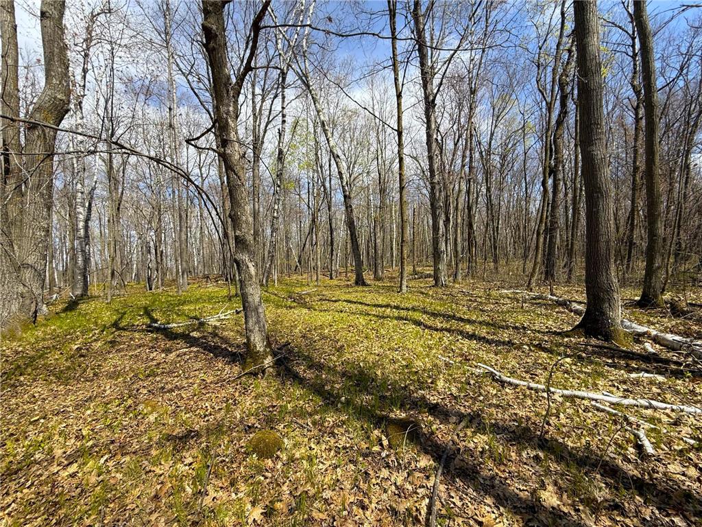 XXX McGrew Rd Isle MN 56342 7071683 image9