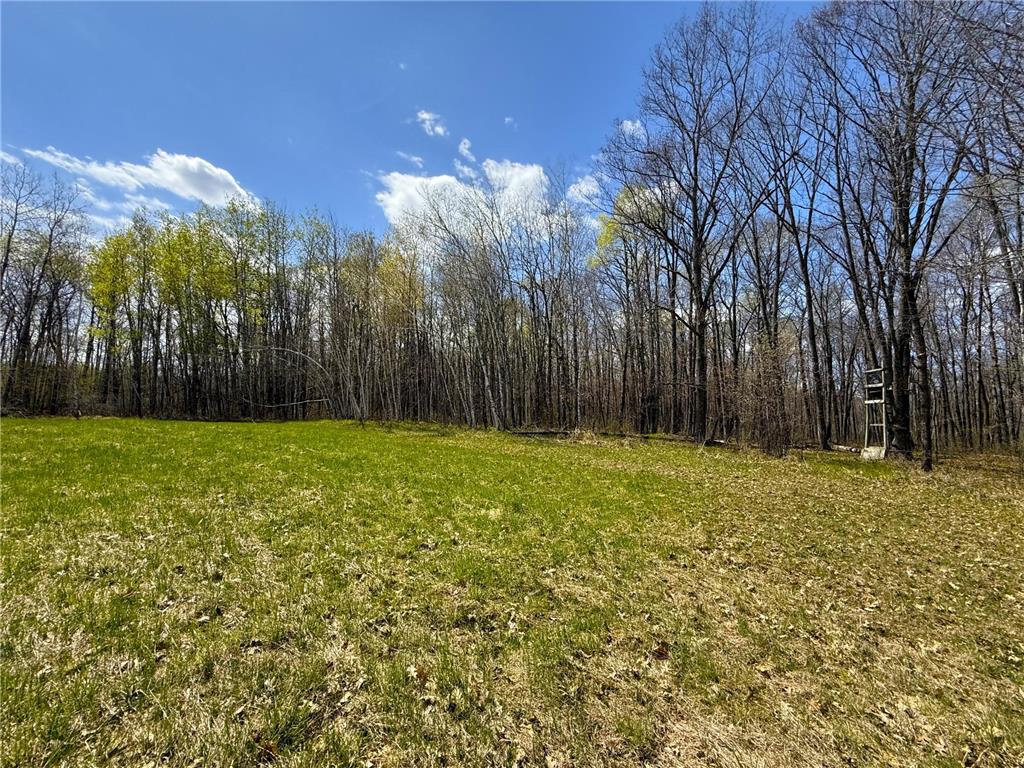 XXX McGrew Rd Isle MN 56342 7071683 image90