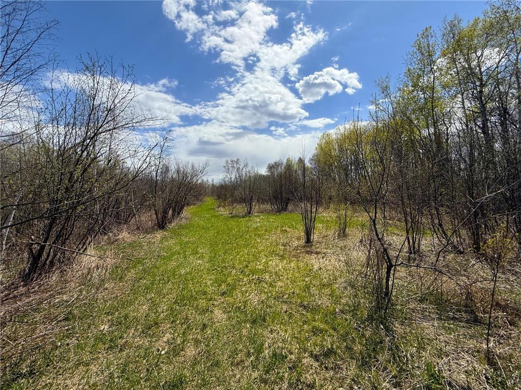 XXX McGrew Rd Isle MN 56342 7071683 image92