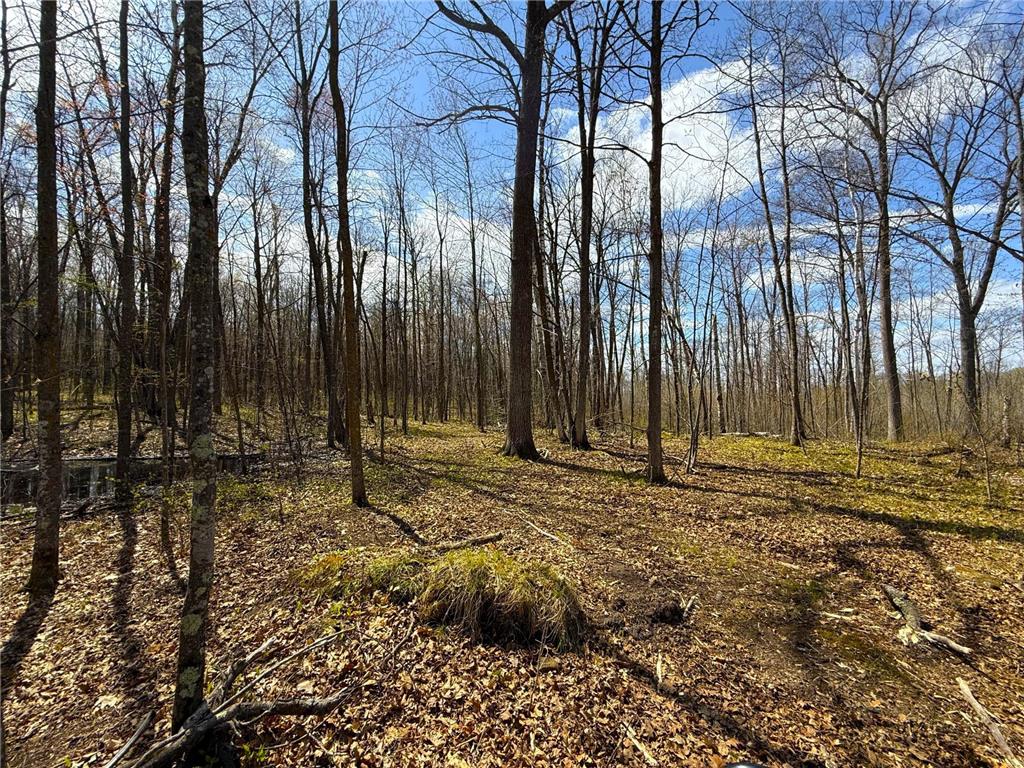 XXX McGrew Rd Isle MN 56342 7071683 image93