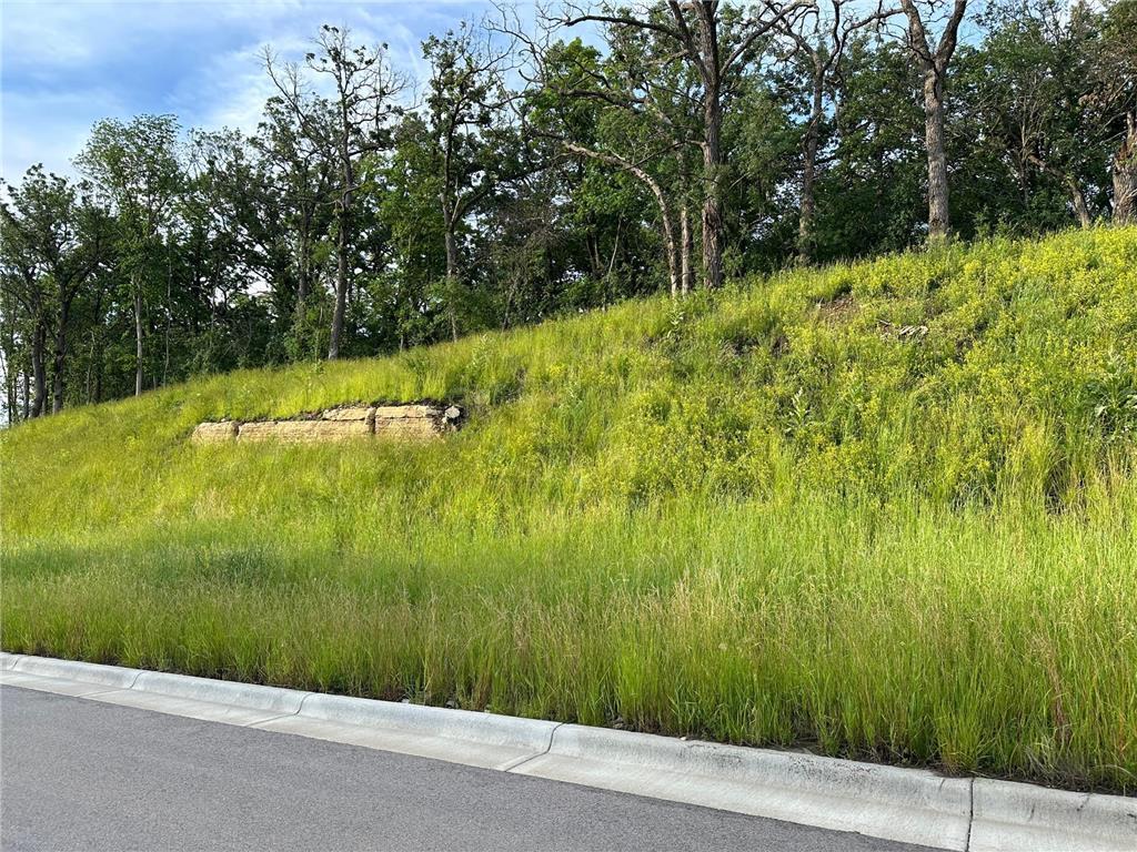 XXX Meadow Crossing Ln SW Rochester Twp MN 55902 6823758 image4