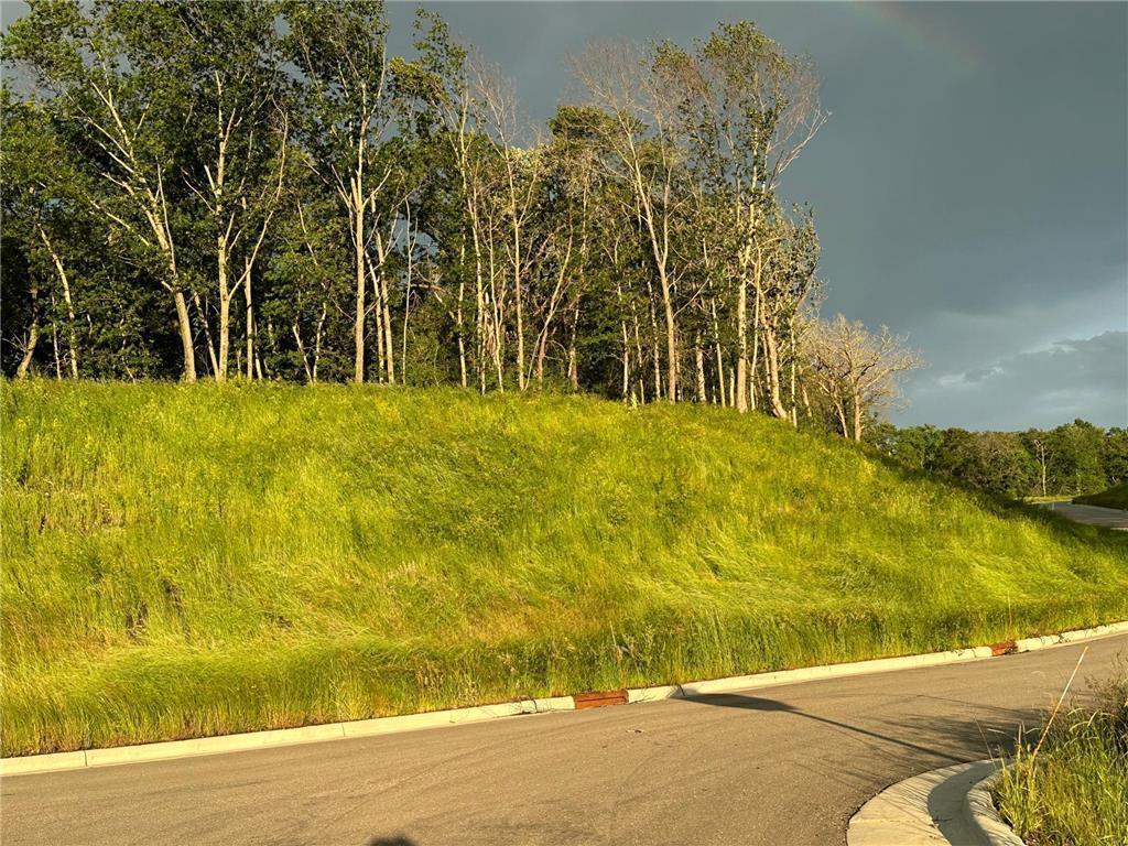 XXX Meadow Crossing Ln SW Rochester Twp MN 55902 6823758 image5