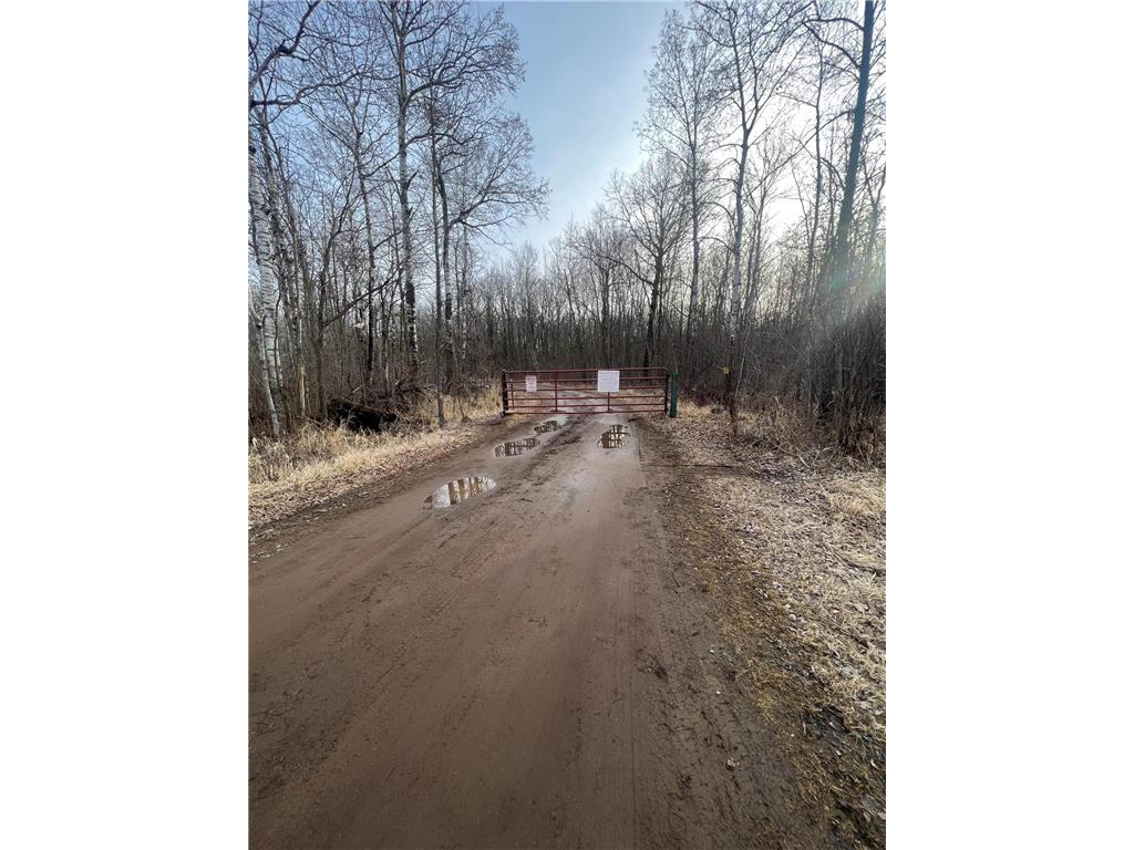 TBD Merlin Road Hillman MN 56338 6504149 image1