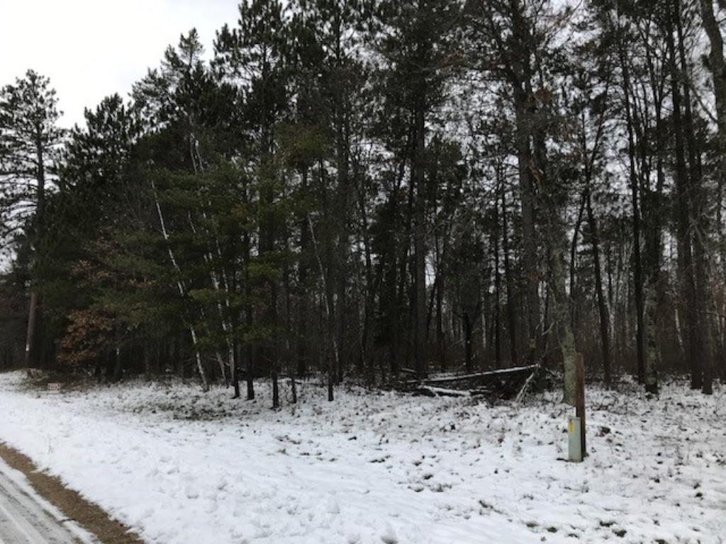 XXX Minnie Lake Drive, Emily, MN 56447 MLS 4889710 Edina Realty