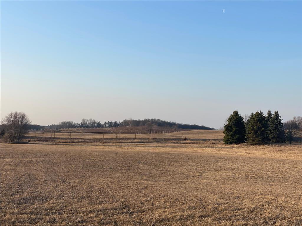 XXX N Honeye Ave Grant MN 55082 6498555 image1