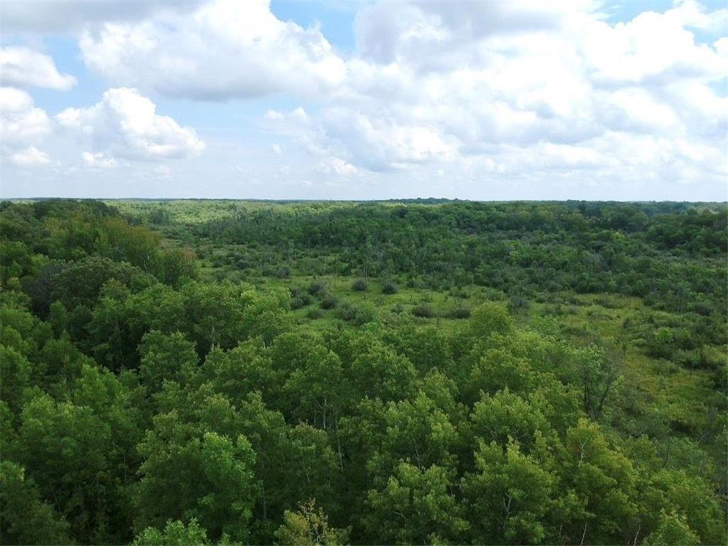 XXX N Hwy 65 Braham MN 55006 6416561 image1