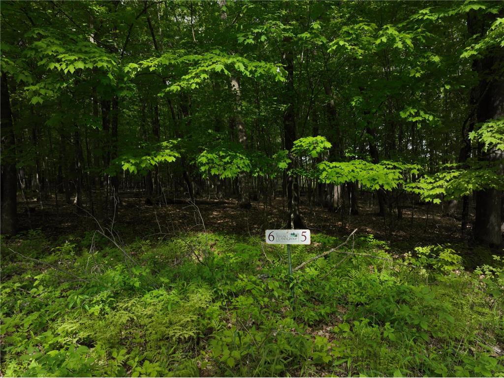 XXX N Pleasantview Trail (Lot 6) Big Bend Twp WI 54757 - Island Lake 6730327 image3