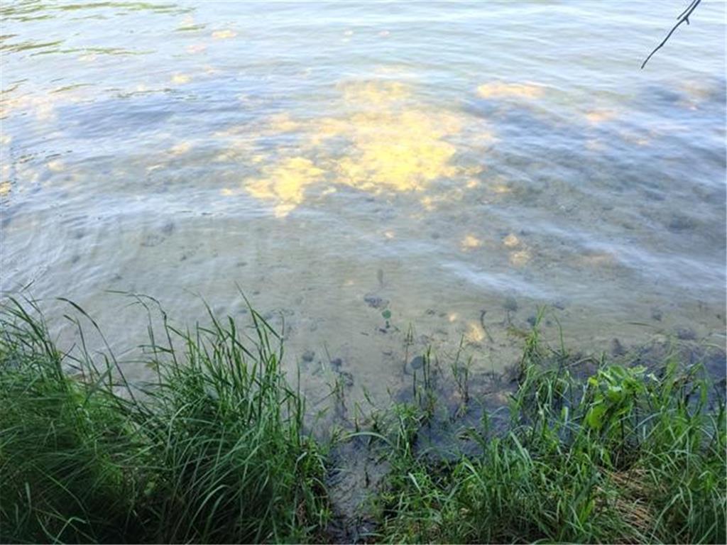 XXX N White Swan Lake Road Bigfork MN 56628 - White Swan 6702671 image1