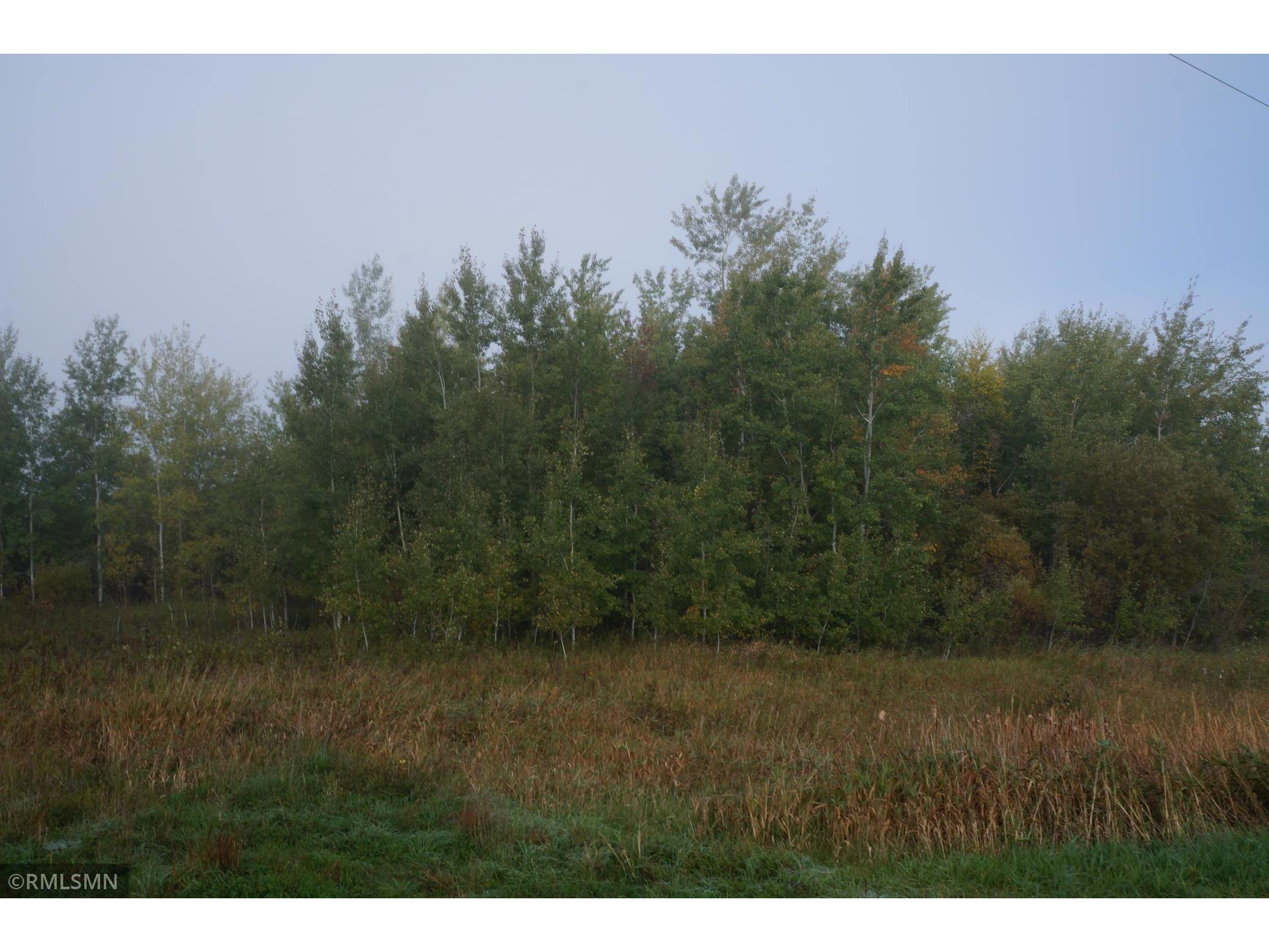 XXX NE RONNEBY Road, Maywood Twp, MN 56329 MLS 5509793 Edina Realty