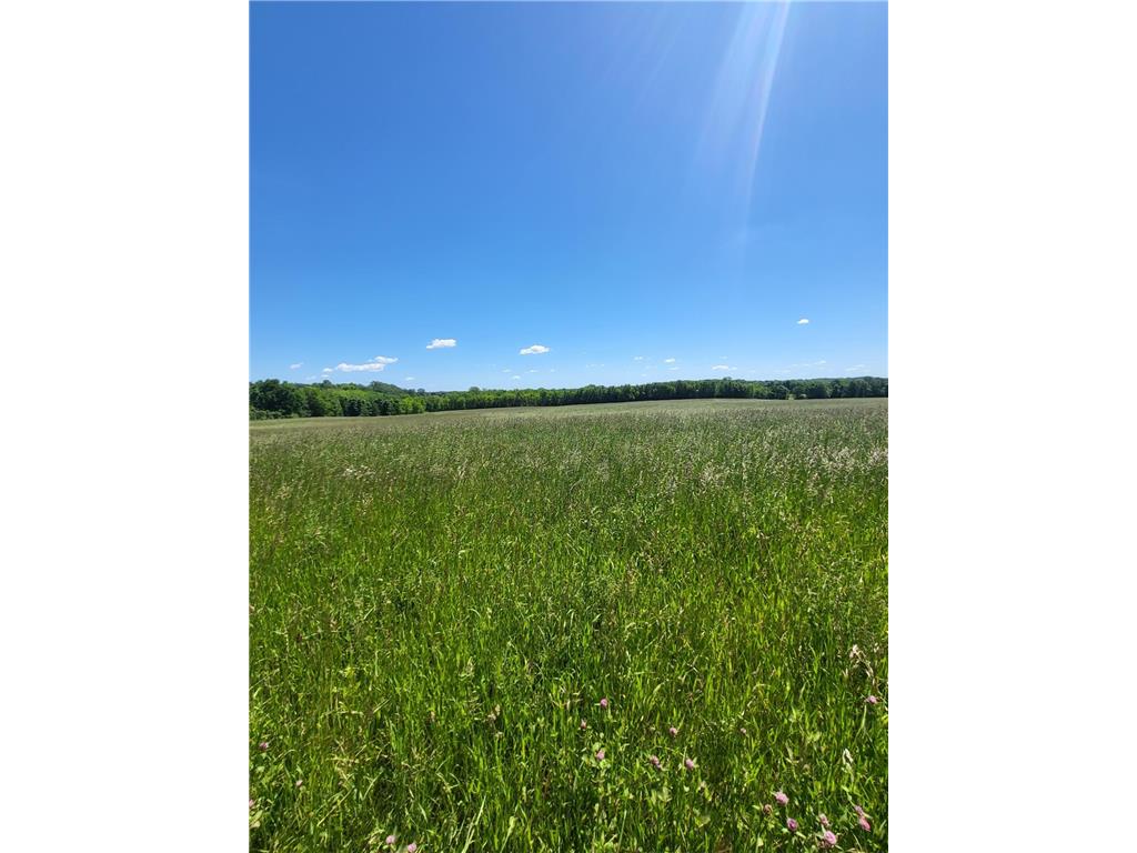 XXX Nelson Road Independence MN 55328 6753643 image1