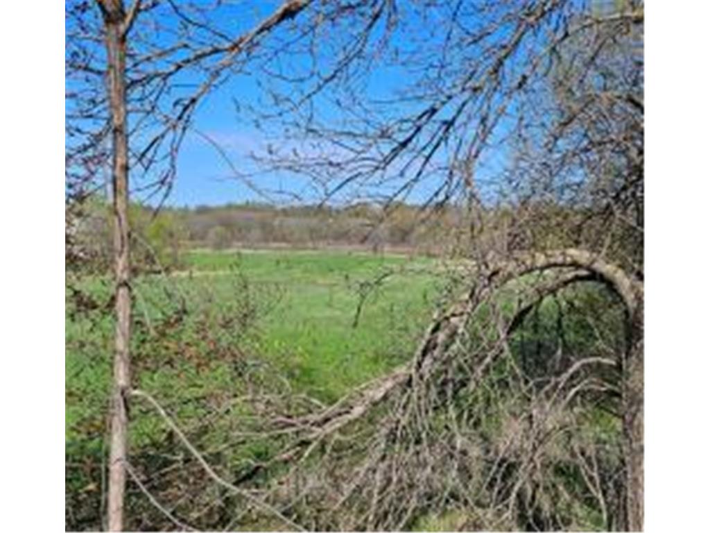 XXX Newton Ave SE Watertown MN 55388 - Crow River 6717632 image10