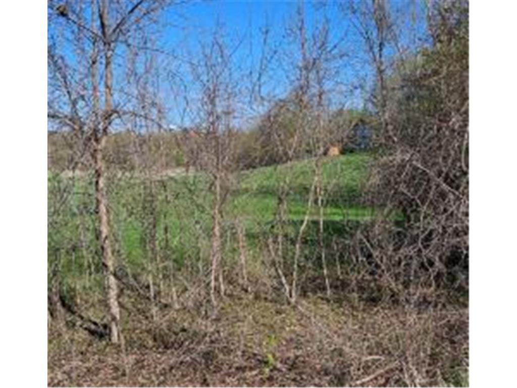 XXX Newton Ave SE Watertown MN 55388 - Crow River 6717632 image12