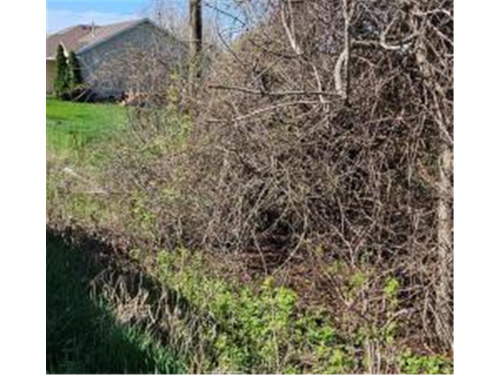 XXX Newton Ave SE Watertown MN 55388 - Crow River 6717632 image13