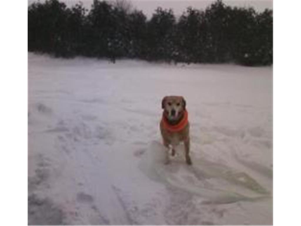 XXX Newton Ave SE Watertown MN 55388 - Crow River 6717632 image15