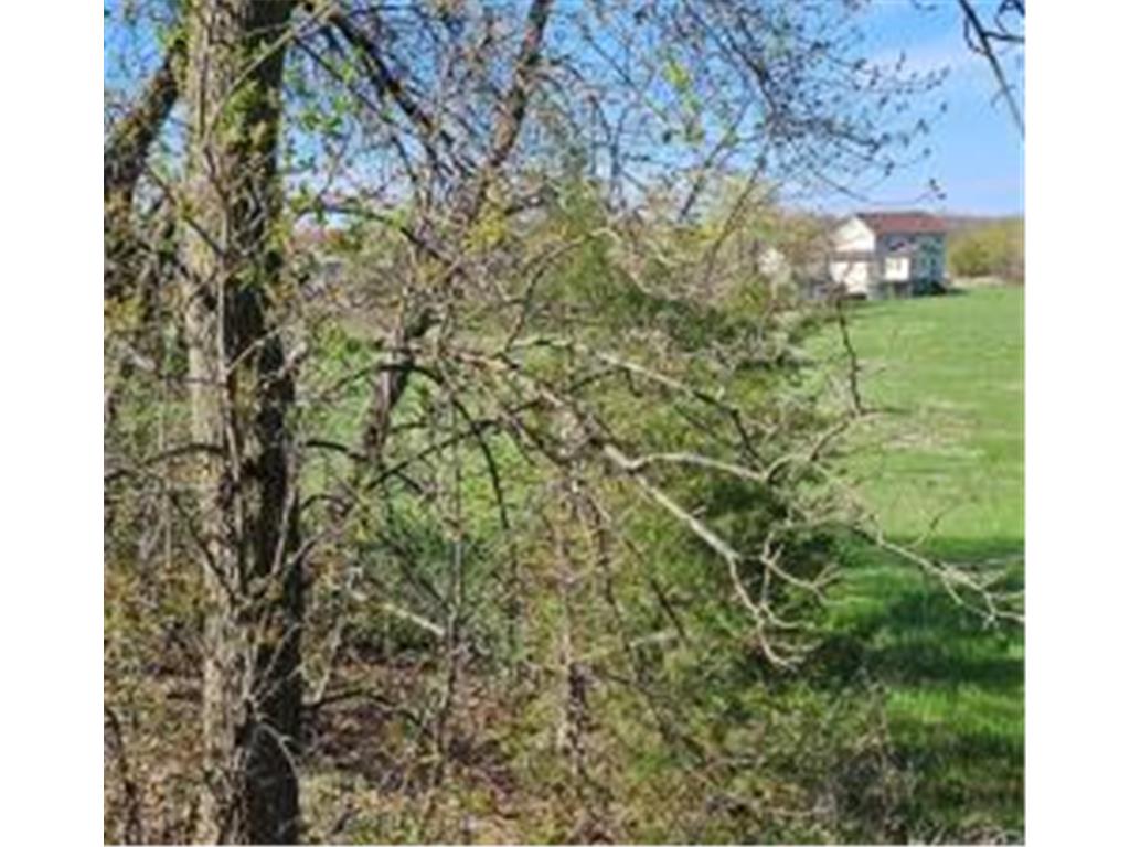 XXX Newton Ave SE Watertown MN 55388 - Crow River 6717632 image3