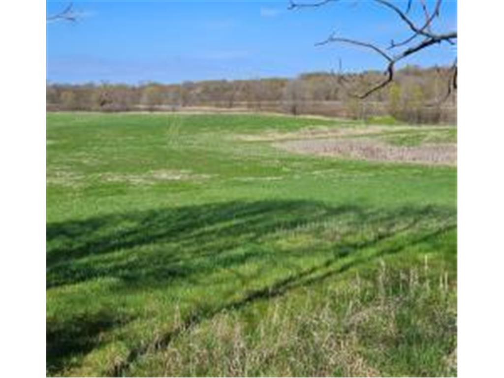 XXX Newton Ave SE Watertown MN 55388 - Crow River 6717632 image4